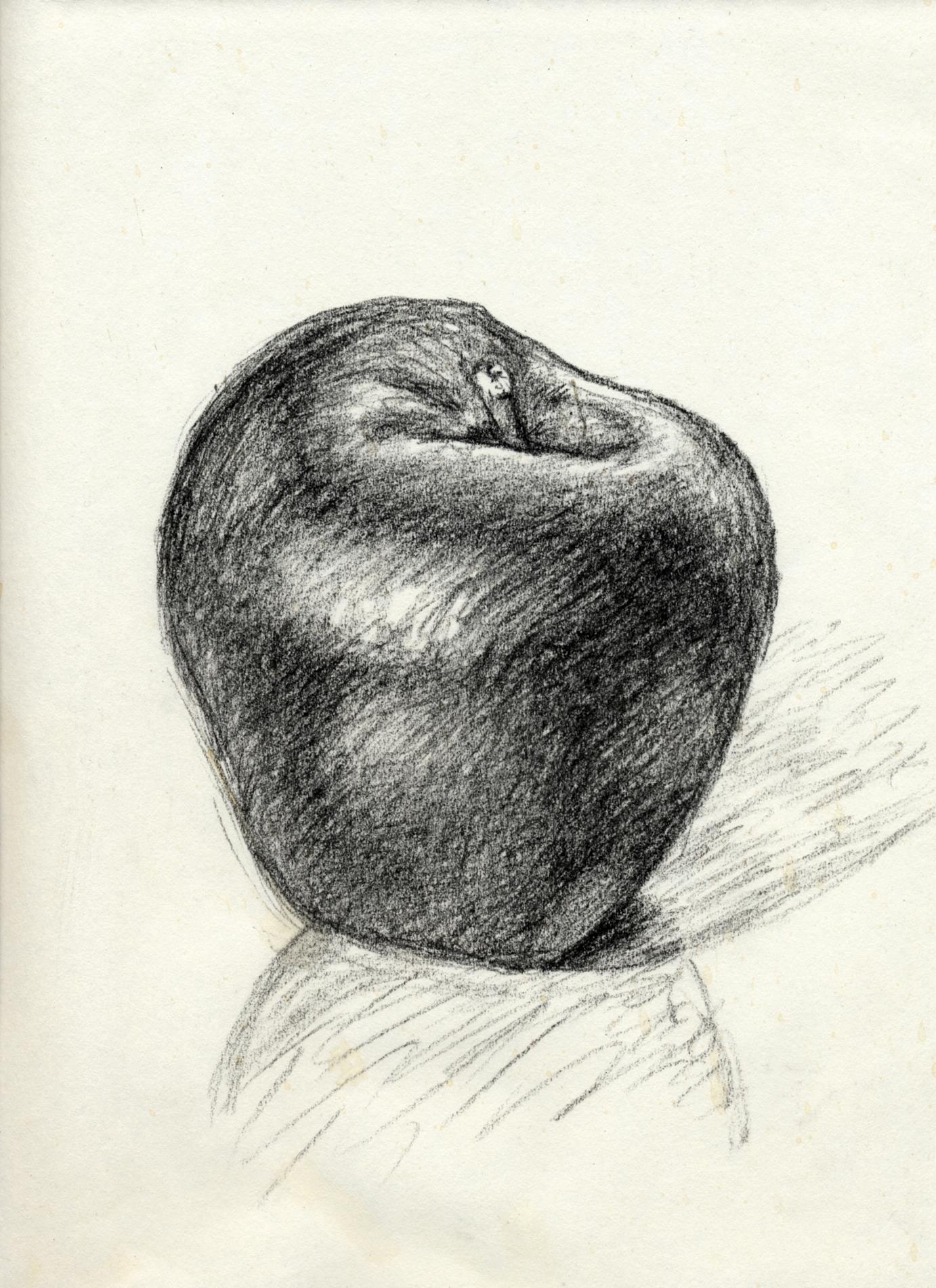 Apple Sketch 1